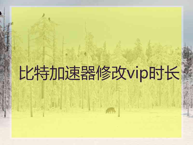 比特加速器修改vip时长 比特加速器修改vip时长